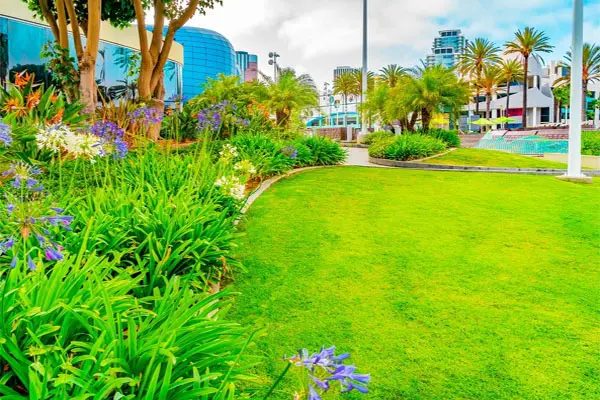 Landscape Maintenance